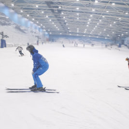 de camino a la cima Tv . Snowzone